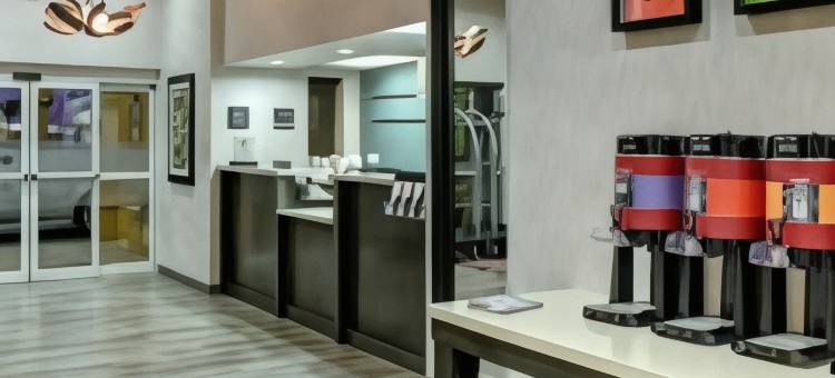 迈阿密椰林珊瑚山墙欢朋酒店(Hampton Inn Miami-Coconut Grove/Coral Gables)图片