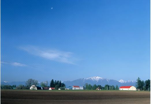 Hotel Route-Inn Obihiro Ekimae Hotel Overview