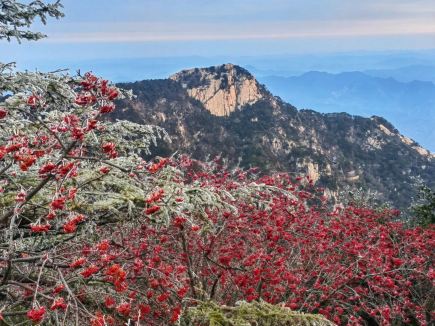 泰山深秋霧淞與日出邂逅