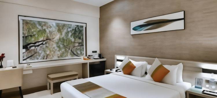 Click Hotel Pithampur图片