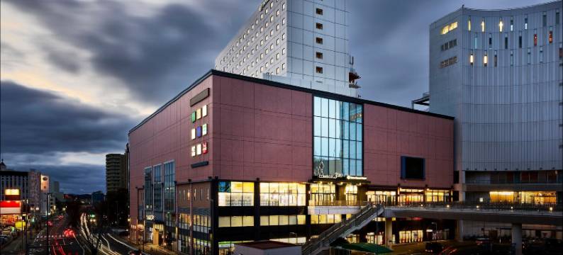 水户大和鲁内酒店(Daiwa Roynet Hotel Ibaraki Mito)图片