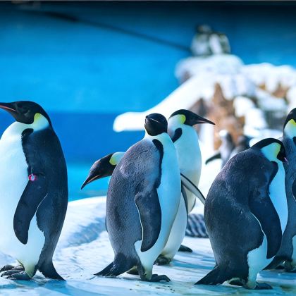 大连4日3晚自由行