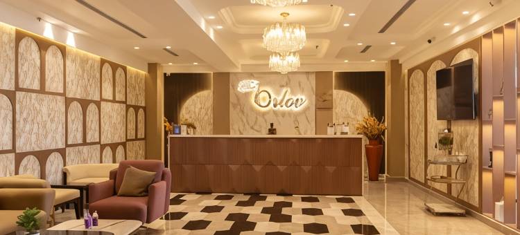 奥尔洛夫酒店(The Orlov Hotel)图片