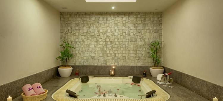 慕苏里皇家兰花堡度假村(Royal Orchid Fort Resort Mussoorie)图片