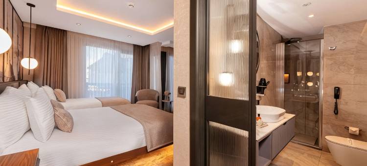 伊斯坦布尔翰悦阁Levni酒店(Levni Istanbul Hotel Handwritten Collection)图片
