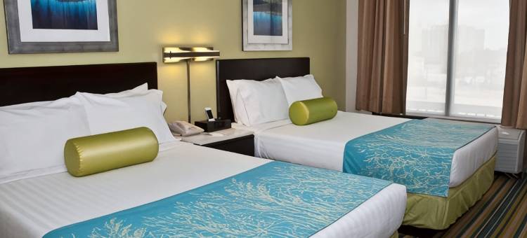 休斯敦霍比机场SpringHill Suites酒店(SpringHill Suites Houston Hobby Airport)图片