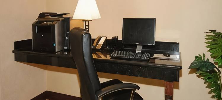 纽布朗费尔斯舒眠套房酒店(Sleep Inn & Suites New Braunfels)图片