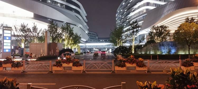 金城民宿(上海国家会展中心店)图片
