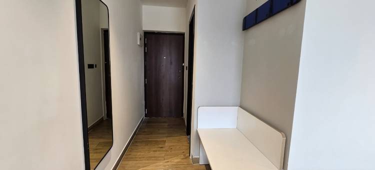 乌代布尔-纳特德瓦拉公路万豪City Express酒店(City Express by Marriott Udaipur Nathdwara Highway)图片
