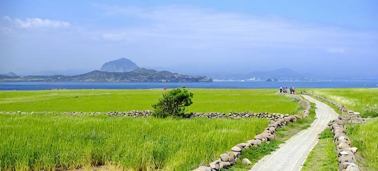 肯尼斯黛济州摩苏尔波酒店(Kenny Stay Jeju Mosulpo)图片