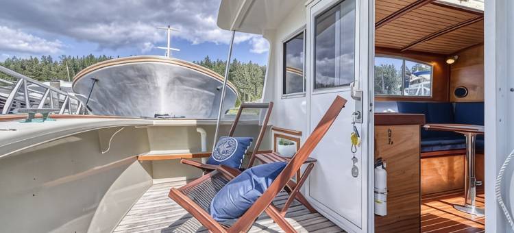 38英尺游艇配有豪华设施及皮划艇!(38' Yacht equipped with luxury and kayaks!)图片