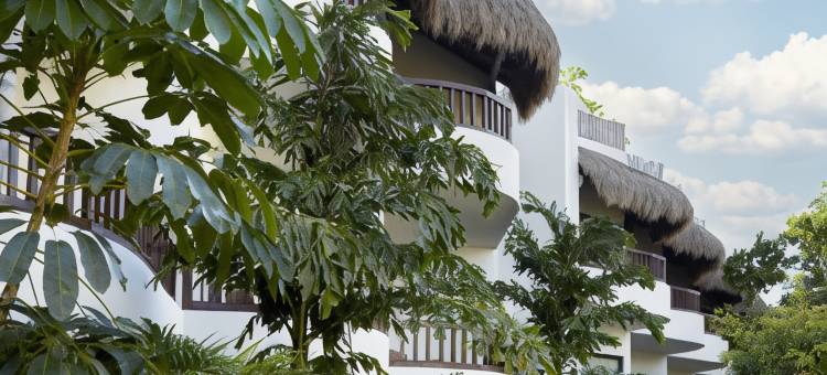 Aluna Resort Tulum图片