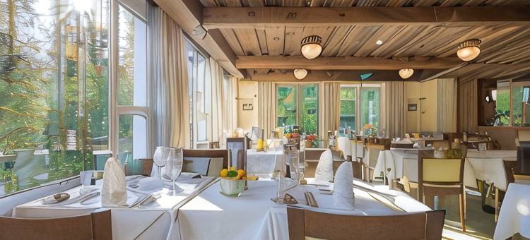 阿罗撒太阳之星酒店(Sunstar Hotel Arosa)图片