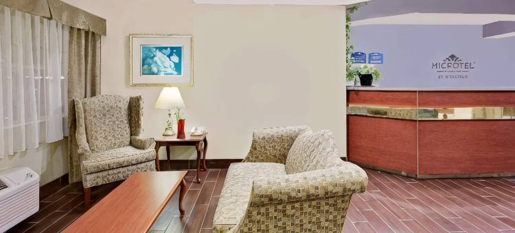 托马斯维尔-高点-莱西温德姆麦客达套房酒店(Microtel Inn & Suites by Wyndham Thomasville/High Point/Lexi)图片