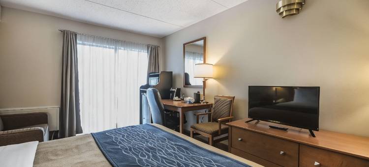 舒适酒店(Comfort Inn)图片