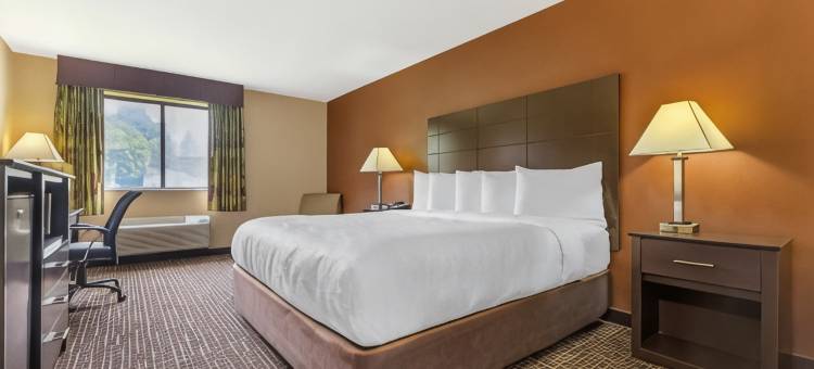 圣路易斯凯西维尔凯艺套房酒店(Quality Inn & Suites Caseyville - St. Louis)图片