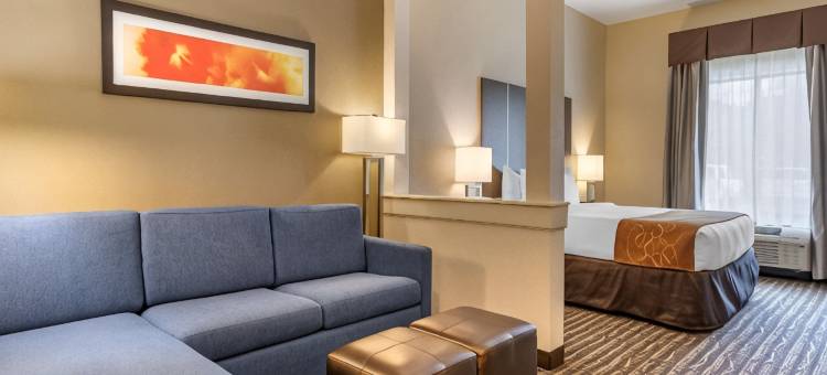 舒适套房靠近萨姆休斯顿赛马公园(Comfort Suites Near Sam Houston Race Park)图片