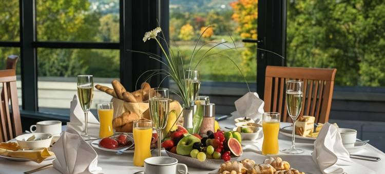 林茨施泰根贝格尔饭店(Steigenberger Hotel Linz)图片