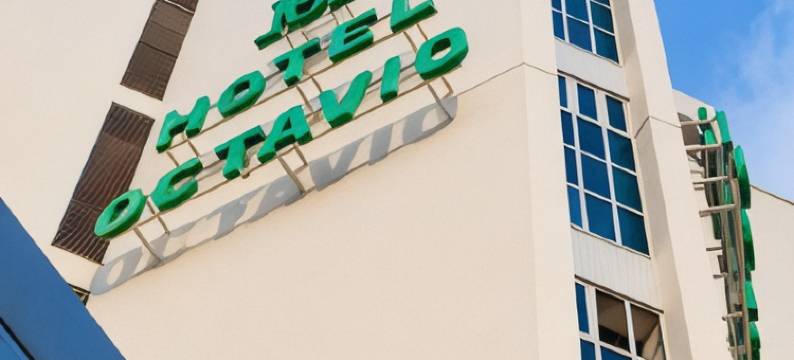 米尔奥克塔维酒店(Mir Octavio)图片