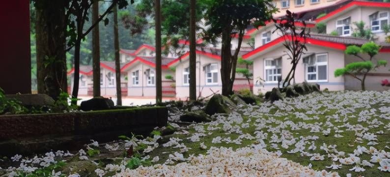 春谷养鳟农场图片