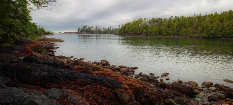 黑熊小屋酒店(Waterfront Timber Frame Cottage!)图片