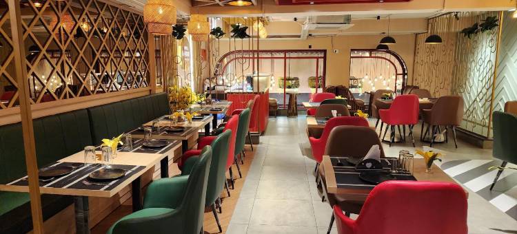 阿南达宝卡洛城市酒店(Hotel Ananda Bokaro City)图片