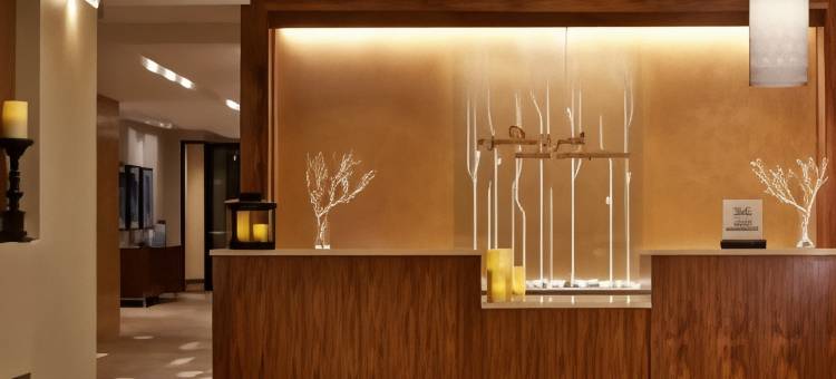 波士顿马尔巴罗希尔顿花园酒店(Hilton Garden Inn Boston/Marlborough)图片