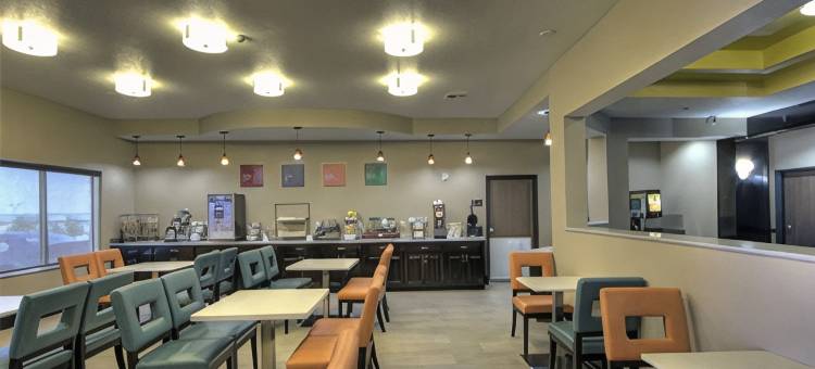 沃斯堡西I-30 NAS JRB的舒适酒店及套房(Comfort Inn & Suites Fort Worth West I-30 Nas JRB)图片