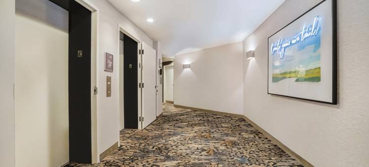 普莱诺理查森Homewood Suites by Hilton(Homewood Suites by Hilton Plano - Richardson)图片