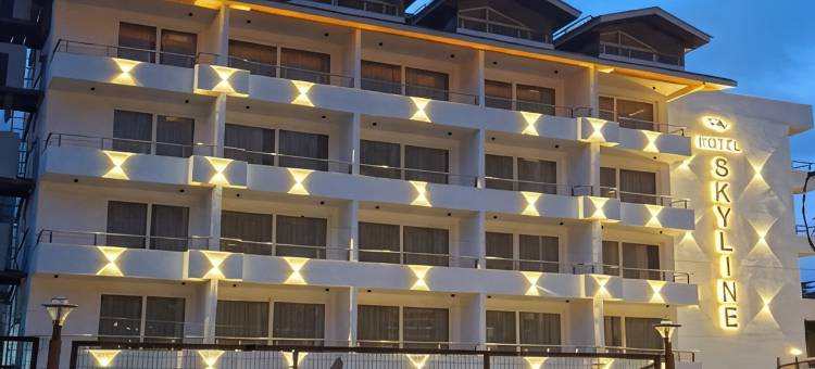 天际线酒店，马拉里- 步行至购物街，中央供暖(Hotel Skyline Manali Walking to Mall Road Centrally Heated)图片