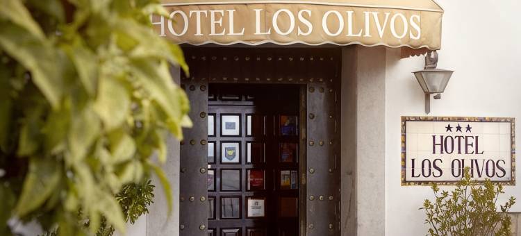 洛斯奥利弗斯酒店(Hotel Los Olivos)图片
