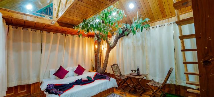 Himalayan Abode Tree House图片
