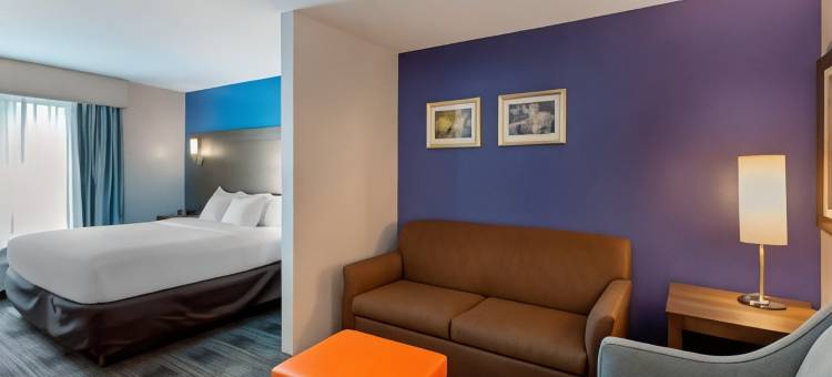 舒适套房旅馆(Comfort Inn & Suites East Ellijay)图片