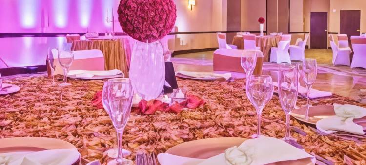 Holiday Inn 国家机场/水晶城(Holiday Inn NATIONAL AIRPORT/CRYSTAL CITY by IHG)图片