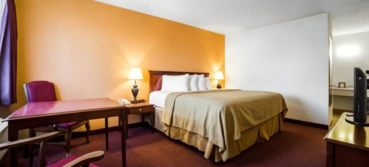 金曼66号公路罗德威酒店(Rodeway Inn Kingman Route 66)图片