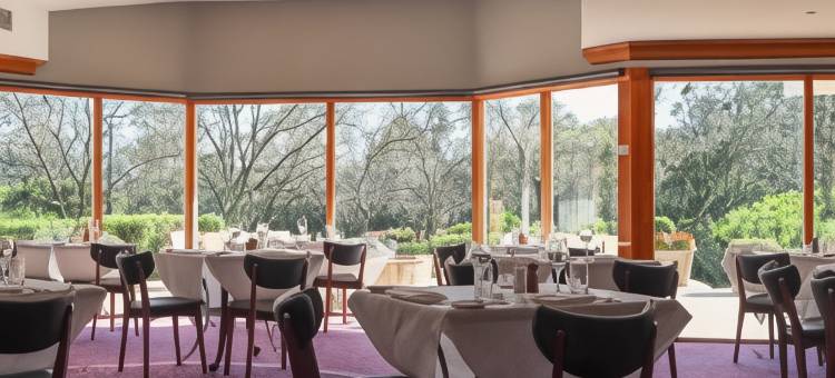 猎人谷花园美居酒店(Mercure Hunter Valley Gardens)图片