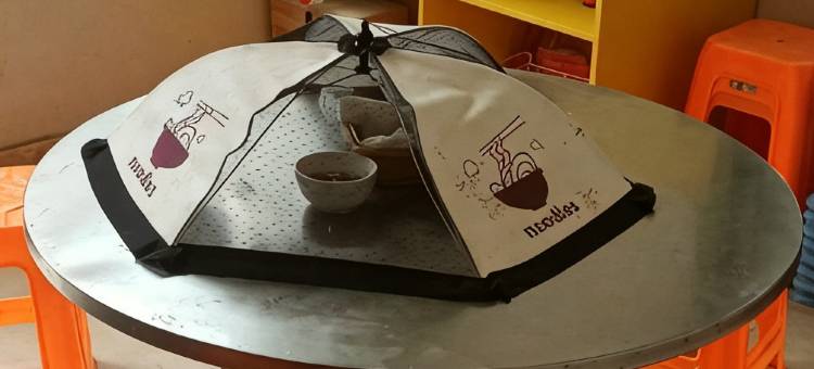 朱家尖紫珅民宿图片