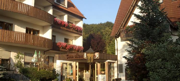 苏姆阿特施罗斯兰迪伊尔酒店(Landidyll Hotel Zum Alten Schloss)图片