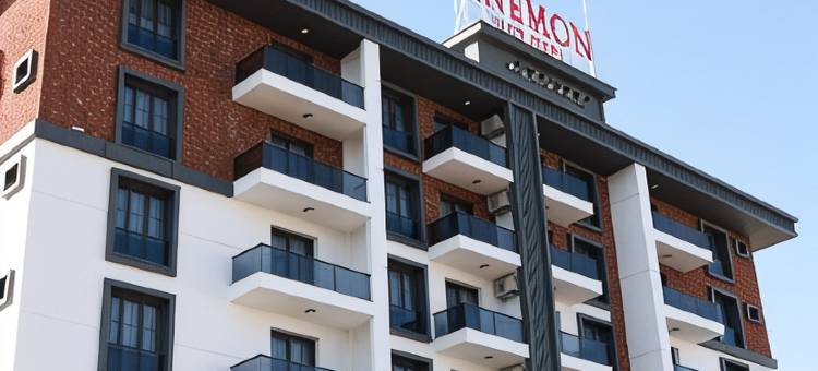 阿内蒙 迪亚巴克尔套房酒店(Anemon Diyarbakır Suit Hotel)图片
