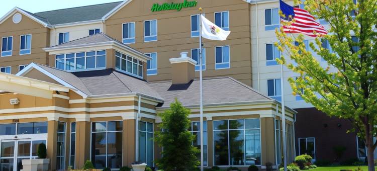 埃芬汉假日酒店(Holiday Inn Effingham)图片