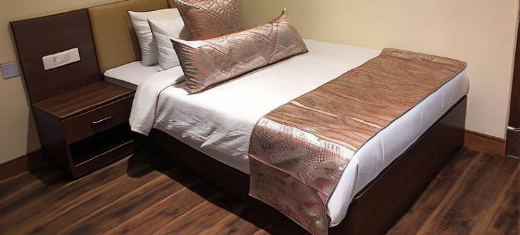 桑迪皇宫酒店(Hotel Shanti Palace)图片