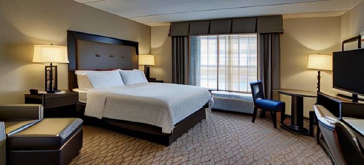 Holiday Inn Express 巴尔的摩 - BWI机场西(Baltimore-BWI Airport West)图片