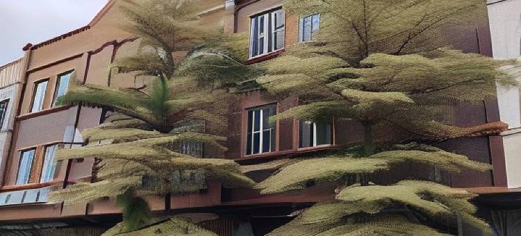 G9霍特尔阿罗士打(G9 Hotel Alor Setar)图片