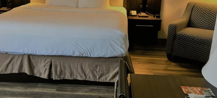 温德姆花园酒店-杰克逊维尔(Wyndham Garden Jacksonville)图片