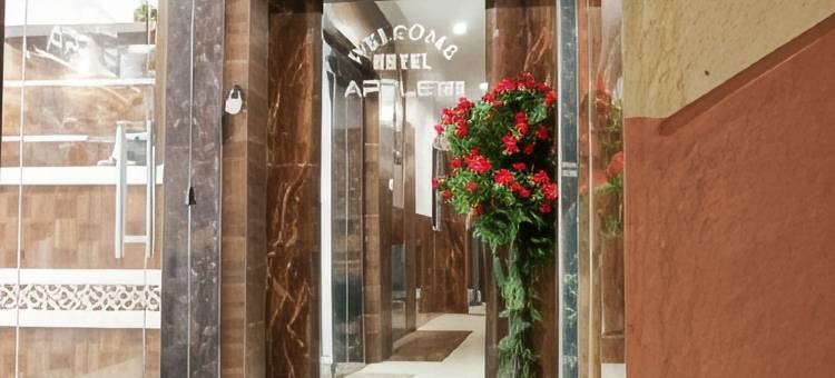 苹果旅馆酒店(Hotel Apple Inn)图片