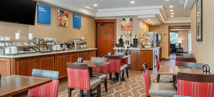 舒适套房酒店(Comfort Inn & Suites)图片