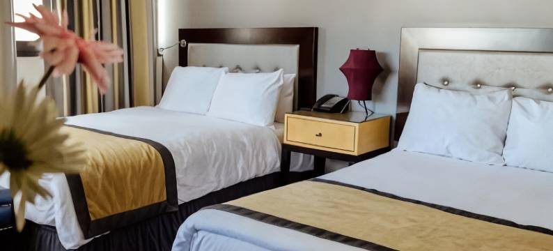 斯坦福德套房酒店(Stamford Suites)图片