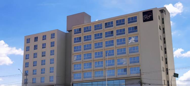 保利尼亚舒眠酒店(Sleep Inn Paulínia)图片