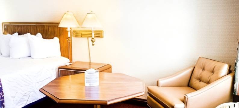 伊克诺套房旅馆(Econo Lodge Inn & Suites)图片