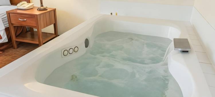 罗伊尔凯艺酒店(Quality Inn Royle)图片